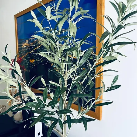 Pensión Sicilia Vacation